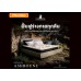 ที่นอน Dunlopillo Ashbourne 3.5 ฟุต