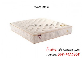 ที่นอน Serta รุ่น PRINCIPLE 6 ฟุต ที่นอน Serta รุ่น PRINCIPLE 6 ฟุต