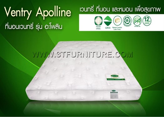 ที่นอน VENTRY รุ่น APOLINE 5 ฟุต